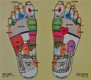 réflexologie