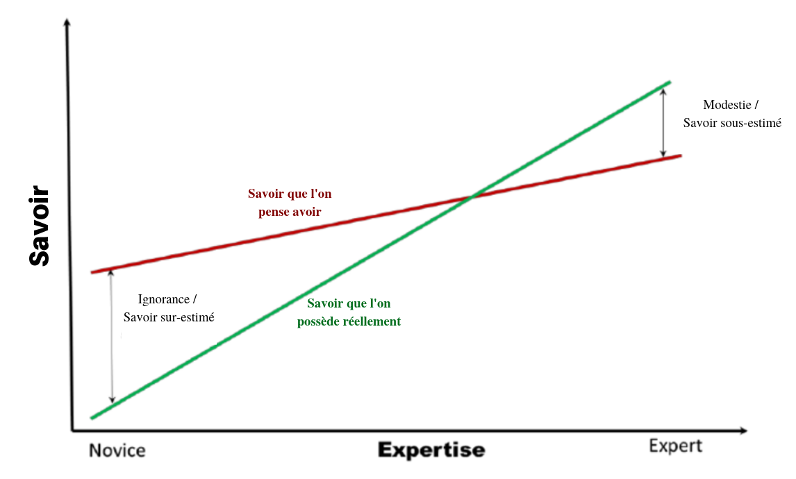 Graphique Apprentissage - Modestie VS Ignorance