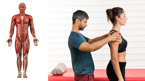 Le point neutre et le point pathologique neutre