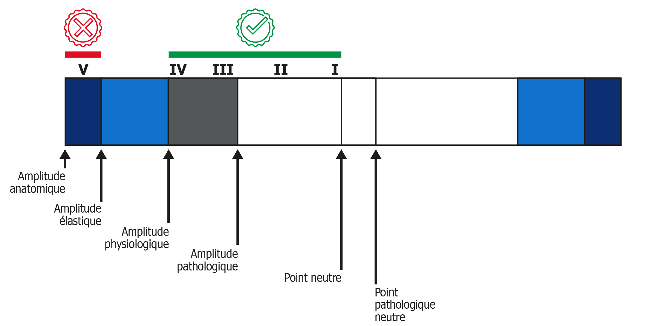 Schéma : Les grades de Maitland